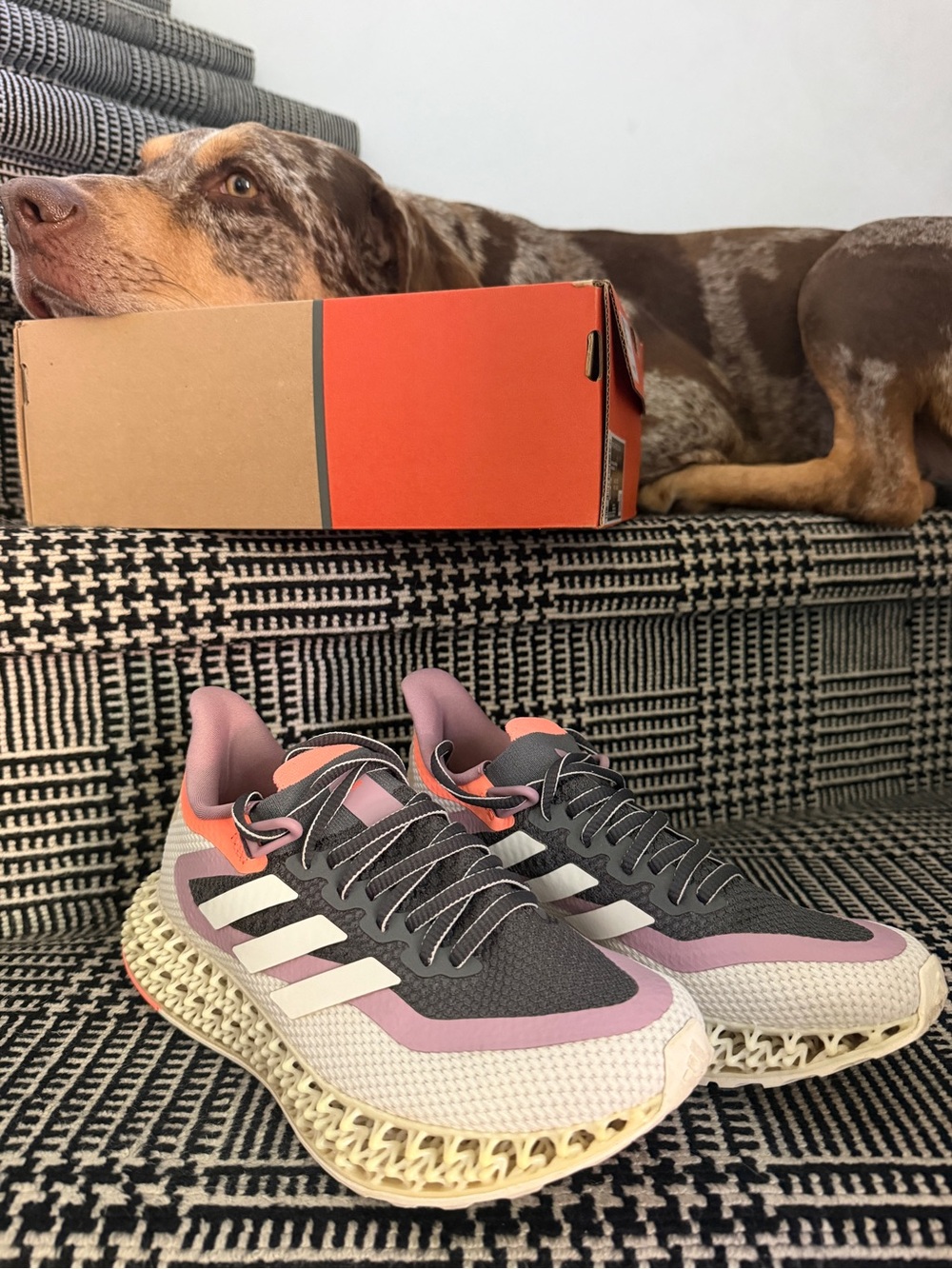 adidas Women’s Gray, Pink & Coral 4DFWD Running shoes